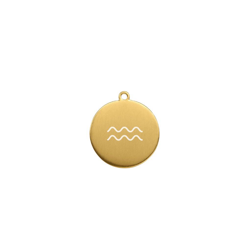 Tiny zodiac charm with fine Chain