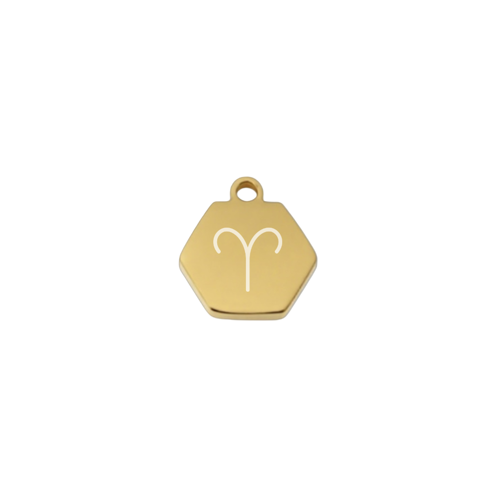 Tiny zodiac charm with fine Chain