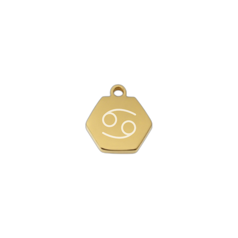 Tiny zodiac charm with fine Chain