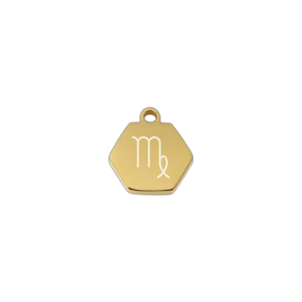 Tiny zodiac charm with fine Chain