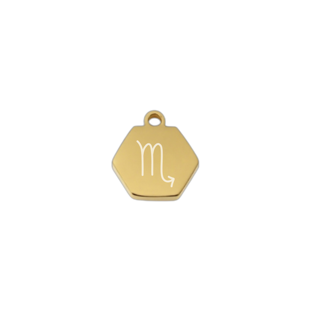 Tiny zodiac charm with fine Chain