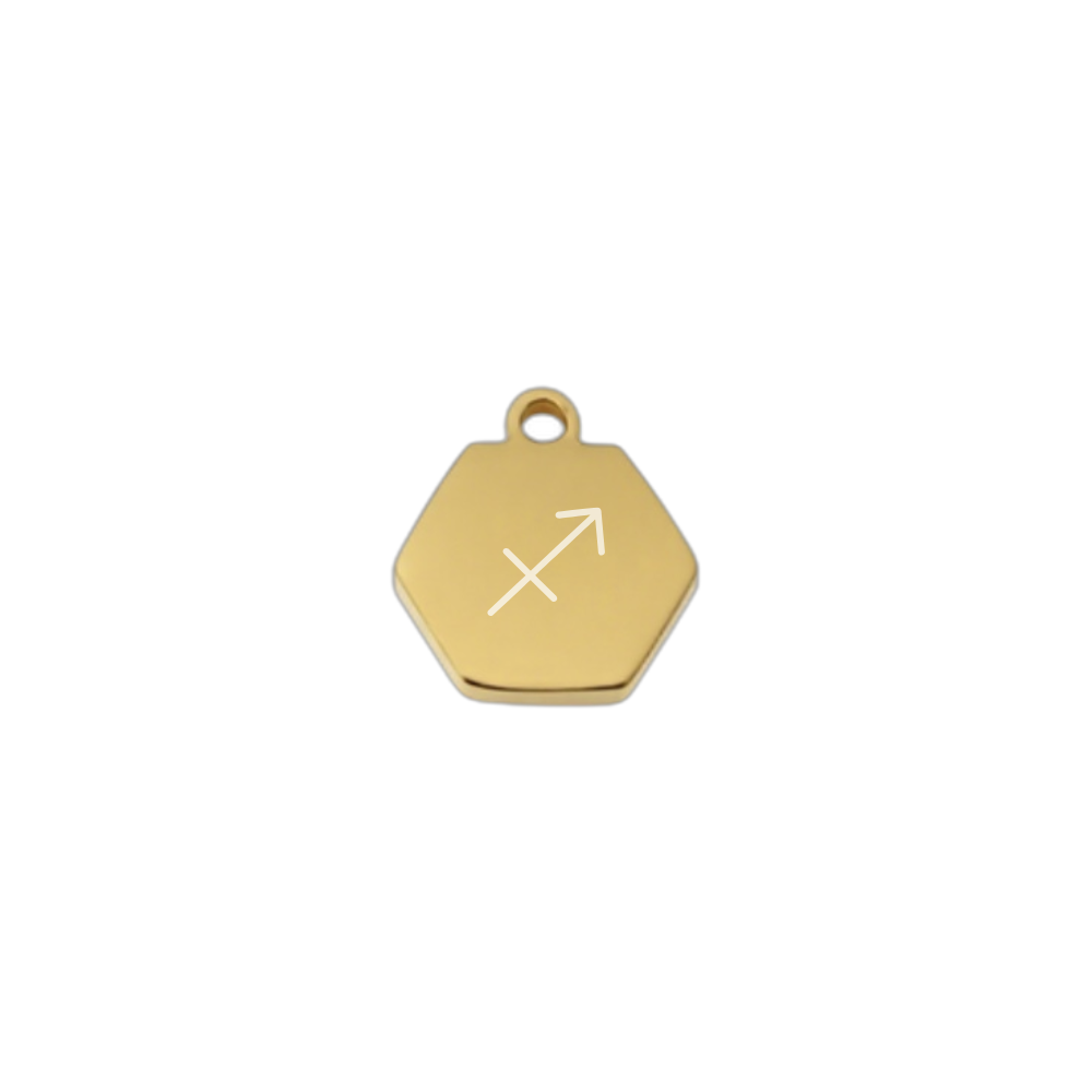 Tiny zodiac charm with fine Chain