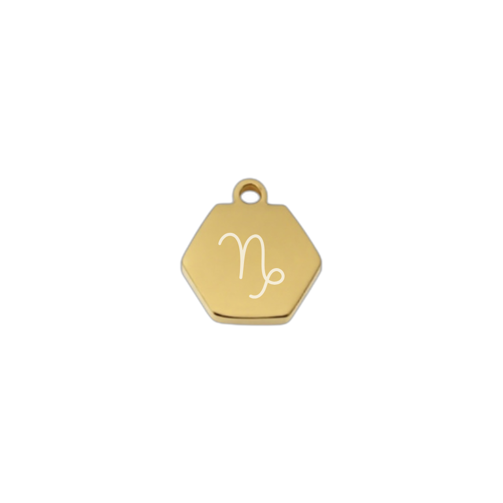 Tiny zodiac charm with fine Chain