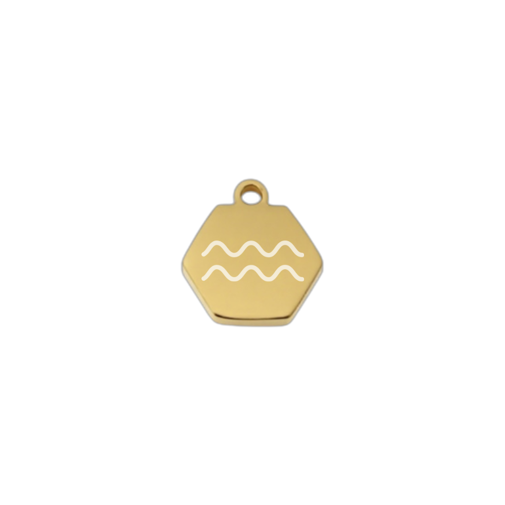 Tiny zodiac charm with fine Chain